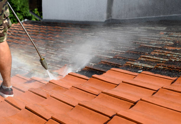 Professional Pressure Washing in Garden View, PA